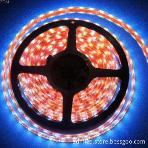 60LED/M 3528 Dimmable 3528 led strip light